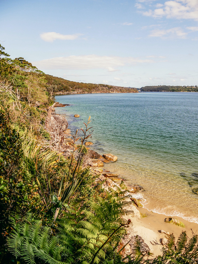 Küstenwanderweg nach Manly