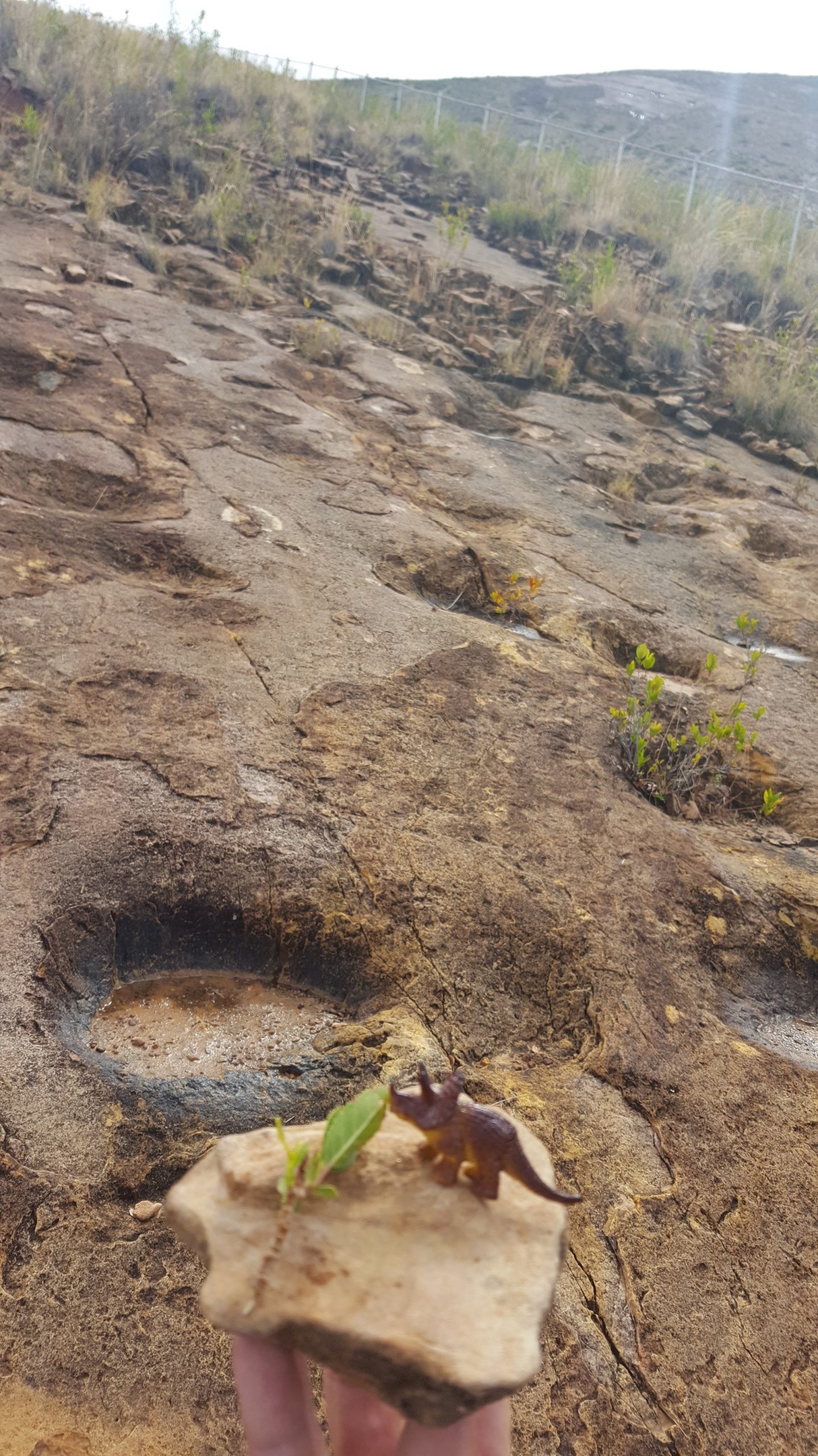 Dinosaurier Fußspuren Toro Toro Nationalpark Bolivien