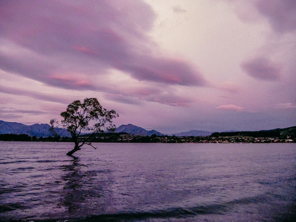 Ein Baum im See bei lilfarbenem Sonnenuntergang