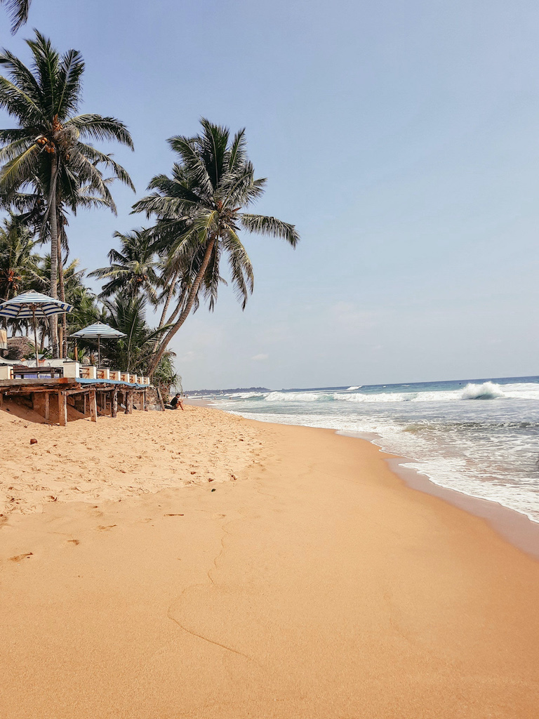 Strand mit Palmen in Hikkaduwa