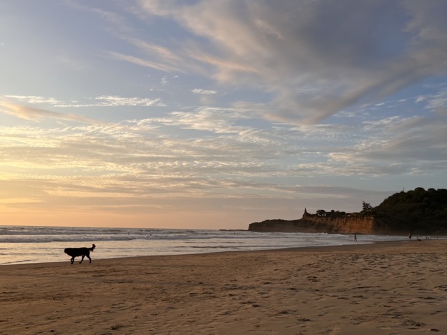 Strand Montañita